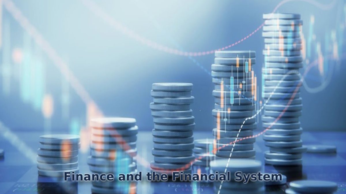 Finance and the Financial System