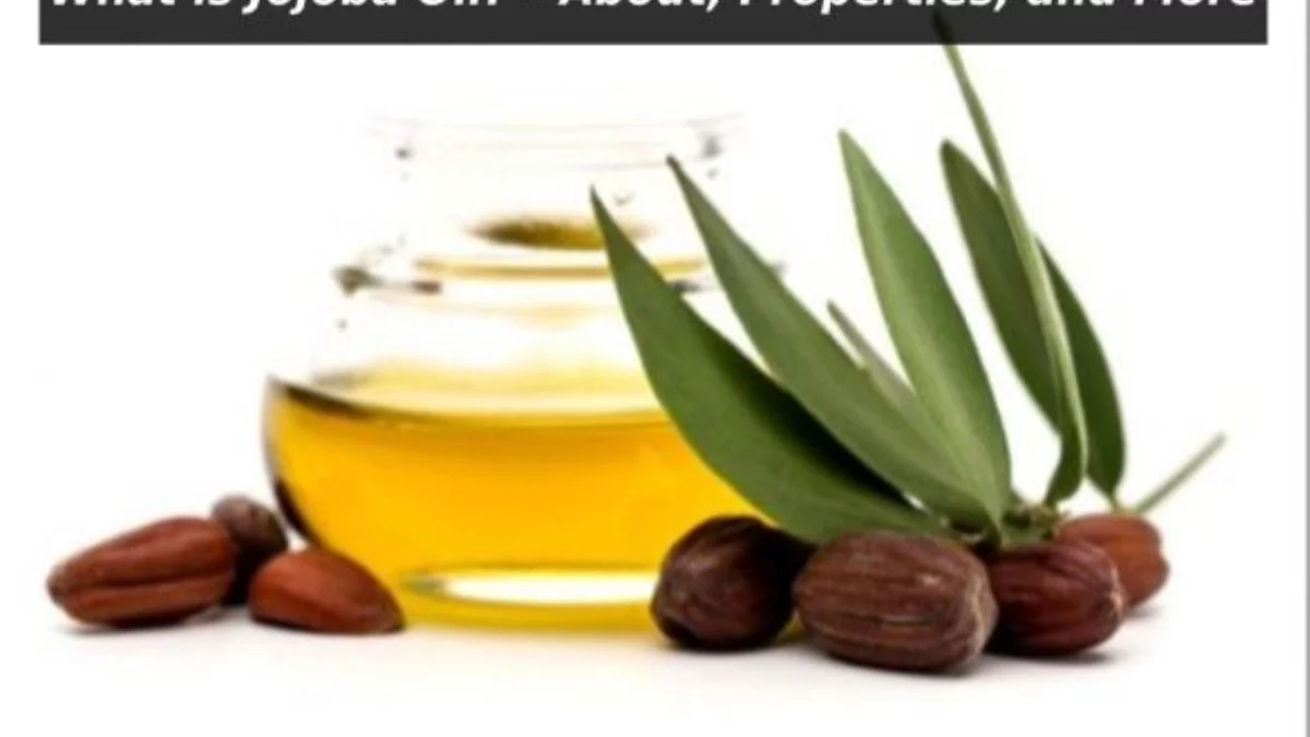 What is Jojoba Oil?