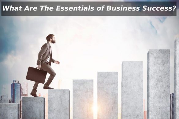 What Are The Essentials of Business Success?