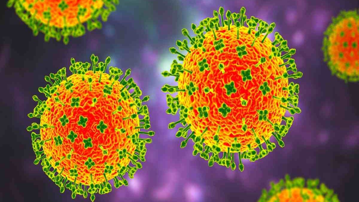 One New Virus, The Nipah virus (NiV), is zoonotic