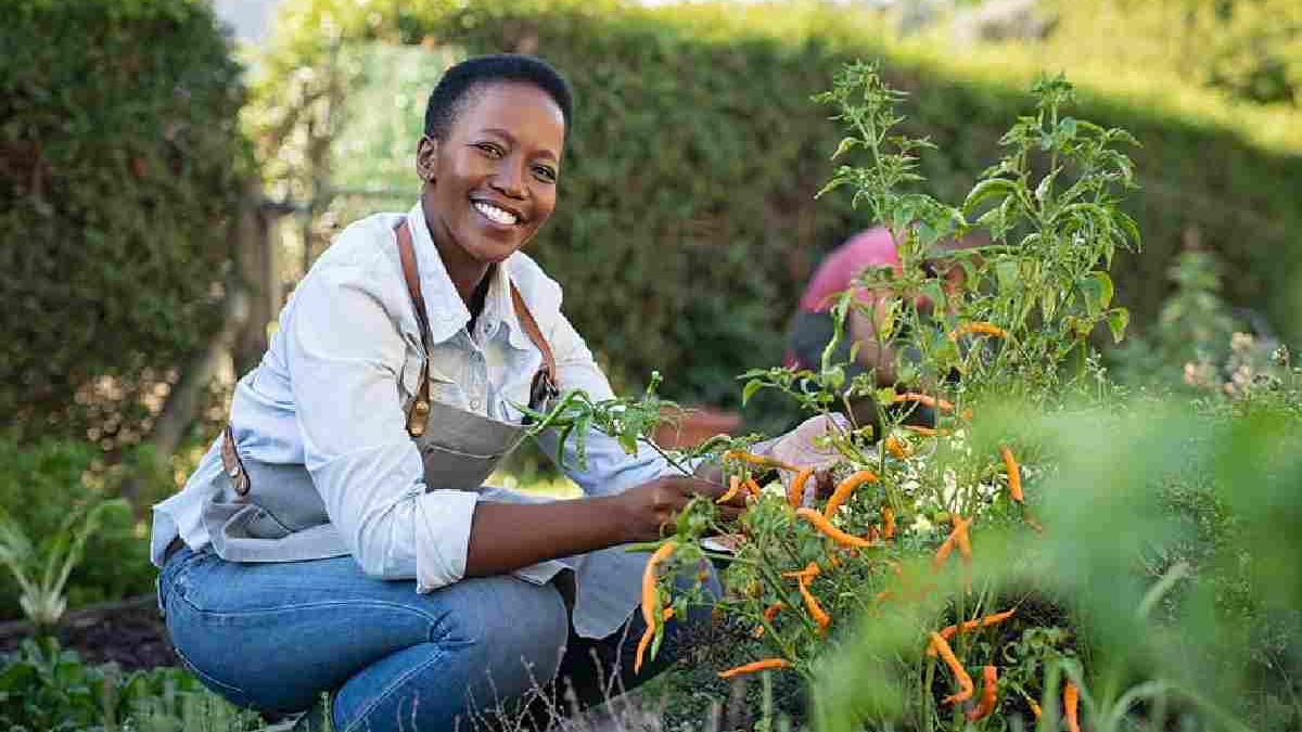 Healing Havens: The Therapeutic Benefits of Horticulture