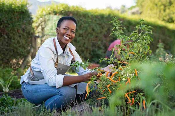 Therapeutic Benefits of Horticulture