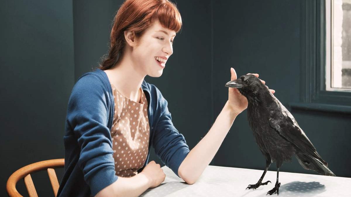 How to Befriend a Crow: A Step-by-Step Guide
