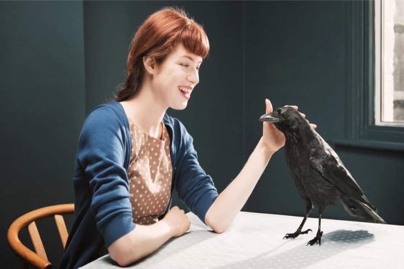 How to Befriend a Crow